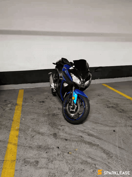 2015 Kawasaki Ninja 300 ABS