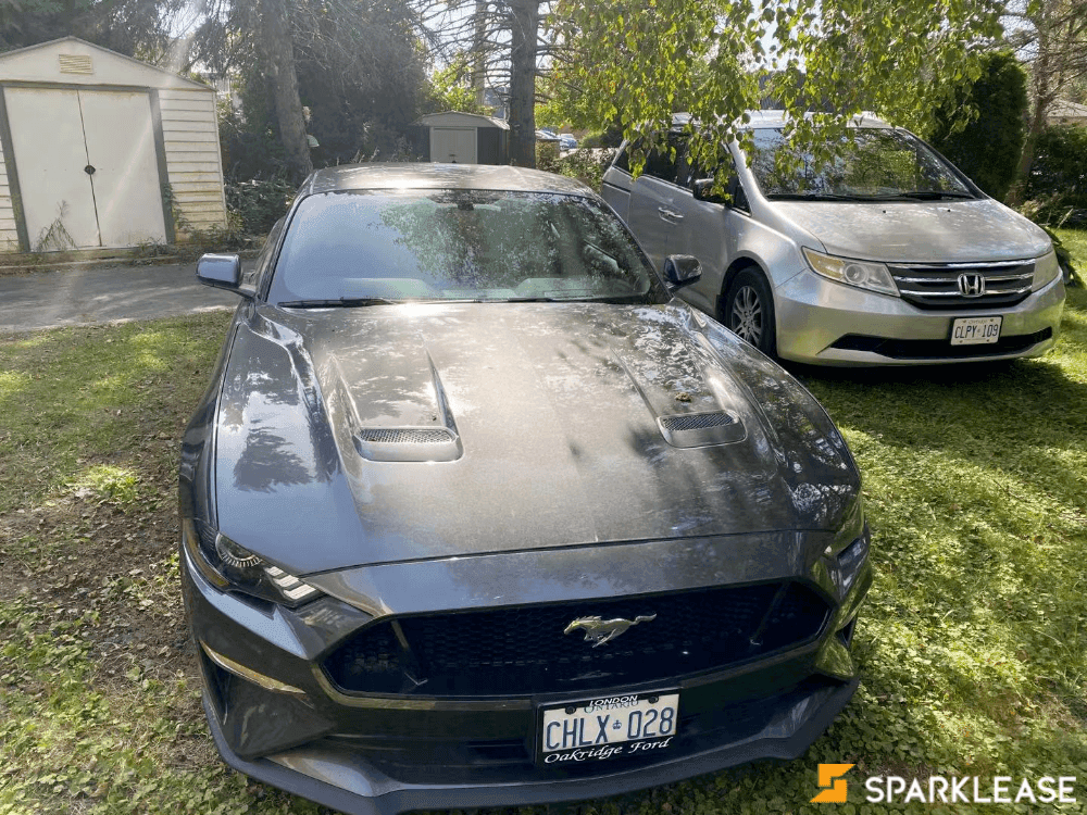 2019 Ford Mustang GT