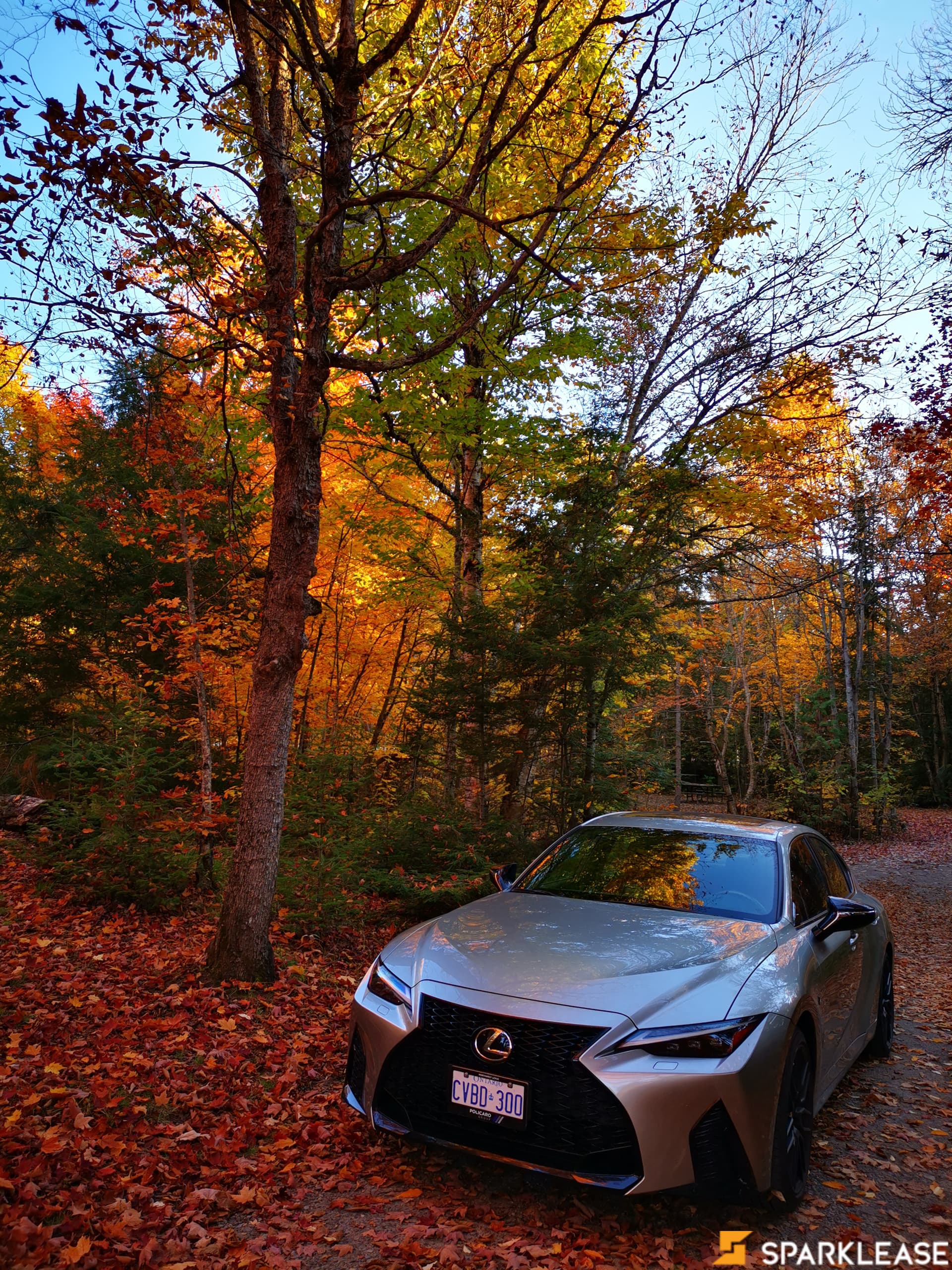 2021 Lexus IS IS 350 AWD