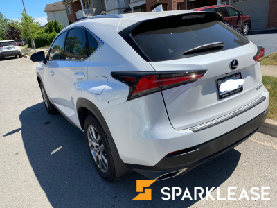 2020 Lexus NX 300 回国急转