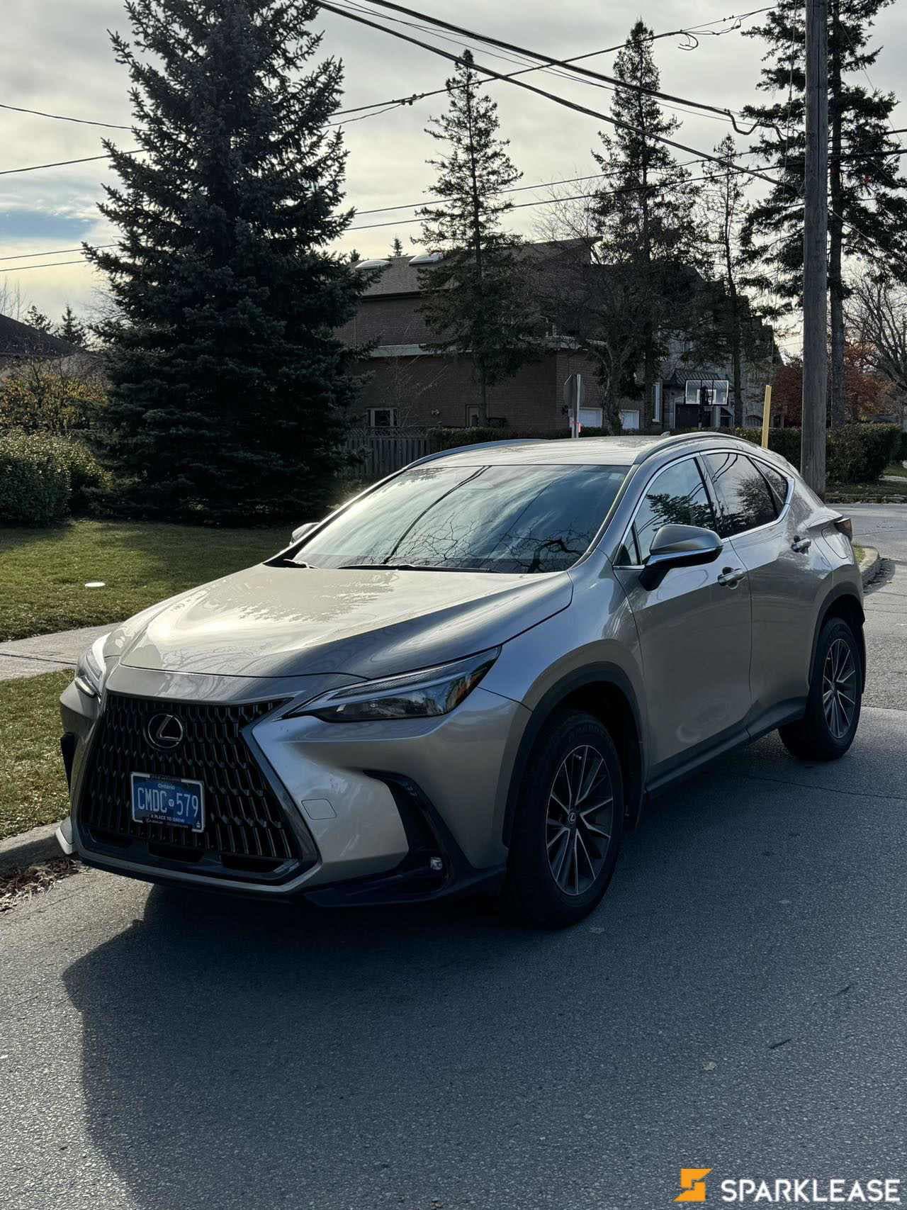 2022 Lexus NX NX 250 AWD *Ltd Avail*