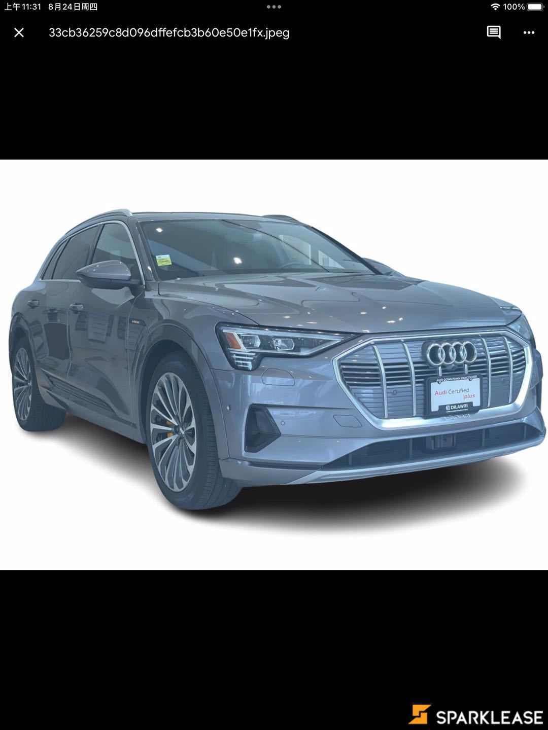 2019 Audi e-tron Technik quattro