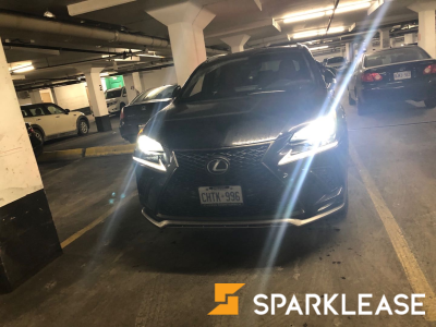2019 Lexus NX300 