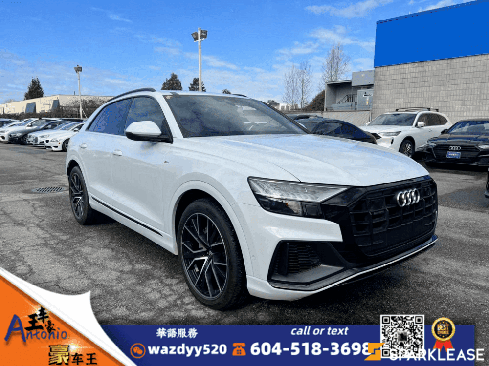 2019 Audi Q8 Technik