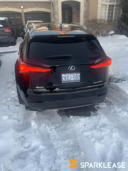 2020 Lexus NX Fsport