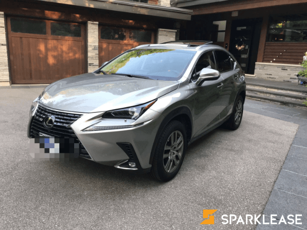 2019 Lexus NX