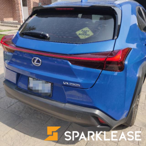 2019 Lexus UXH