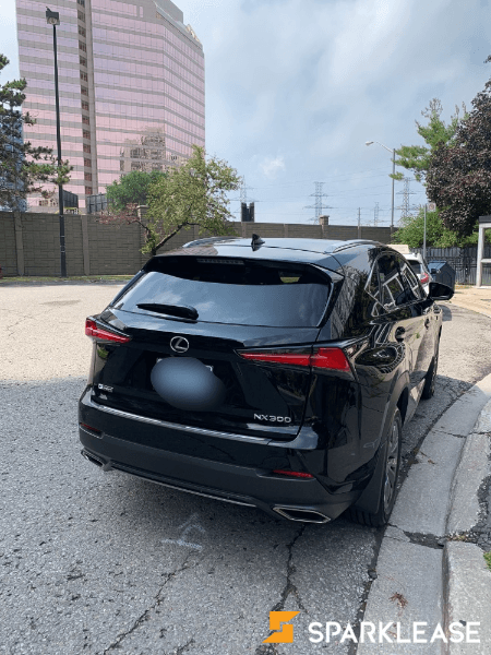2020 Lexus NX 300 F2 顶配