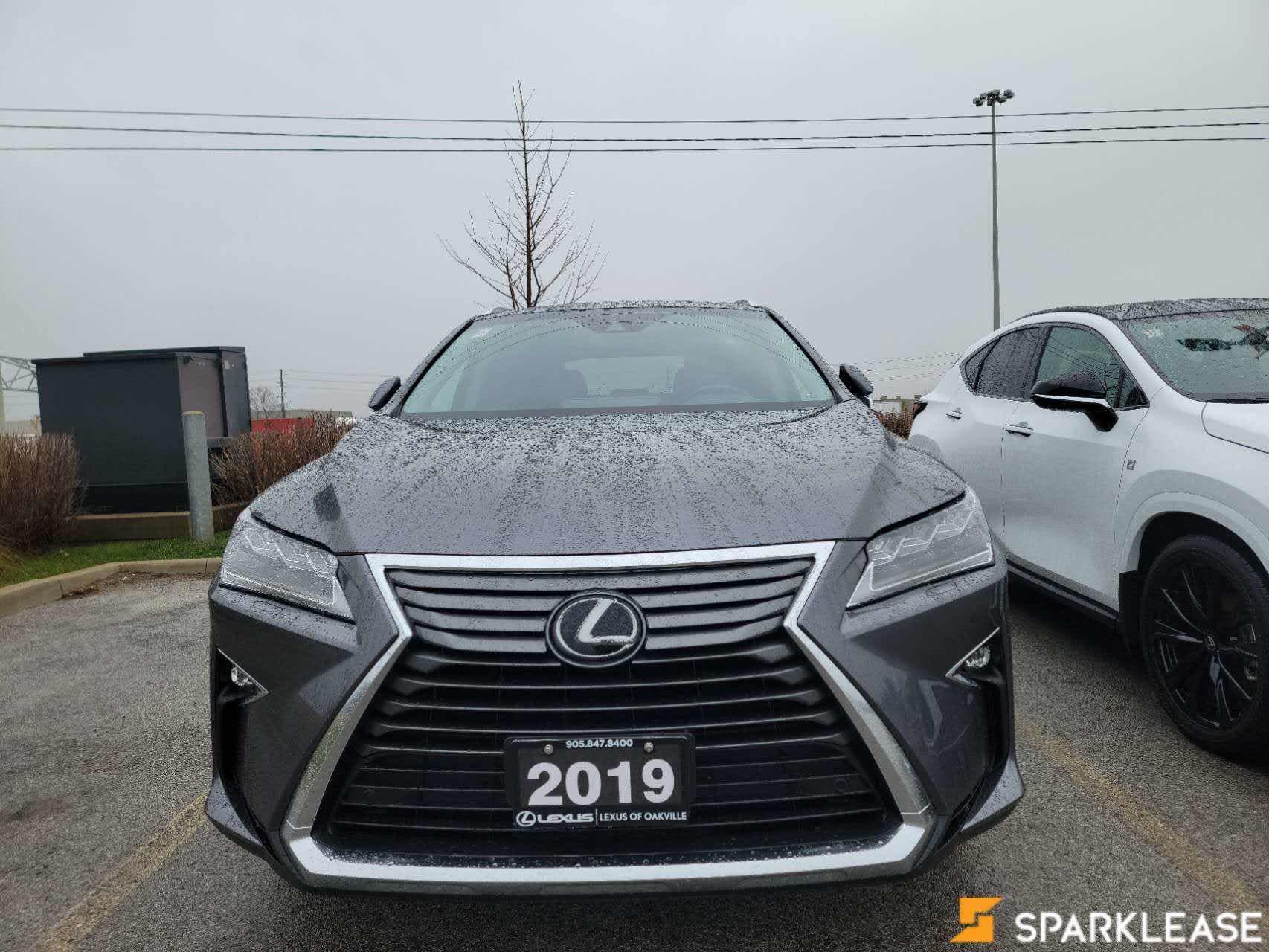 2019 Lexus  RX 350 Luxury 配置