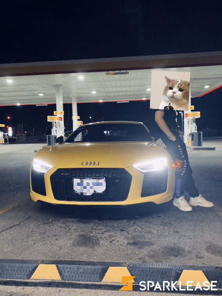 2018 Audi R8