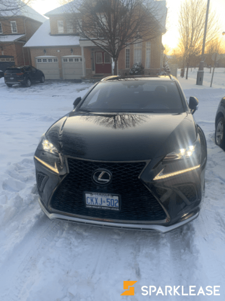 2020 Lexus NX fsport 