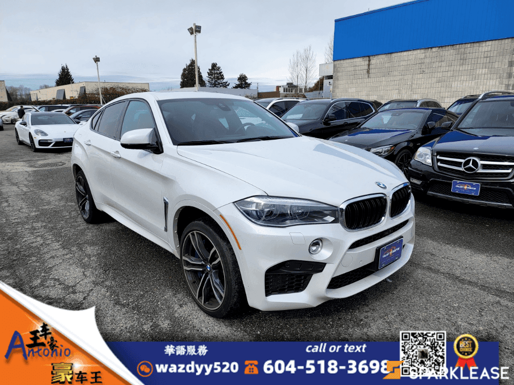 2016 BMW X6 M