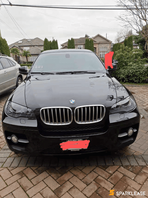 2010 BMW X6 50i