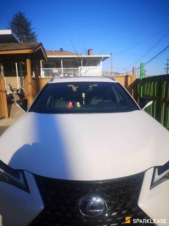 2020 Lexus UX