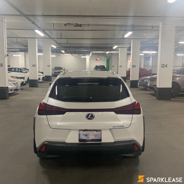 2020 Lexus UX250h