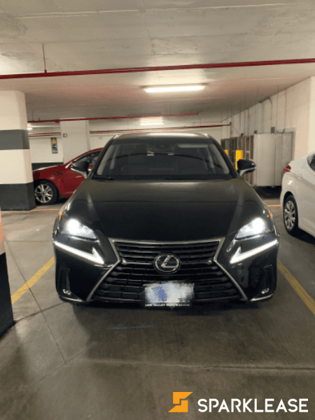2019 Lexus NX300