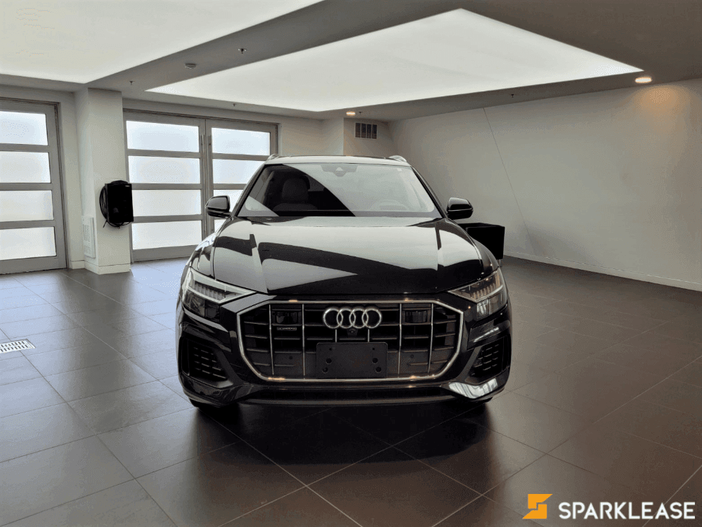 2019 Audi Q8 Technik