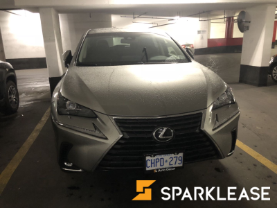 2019 Lexus NX300