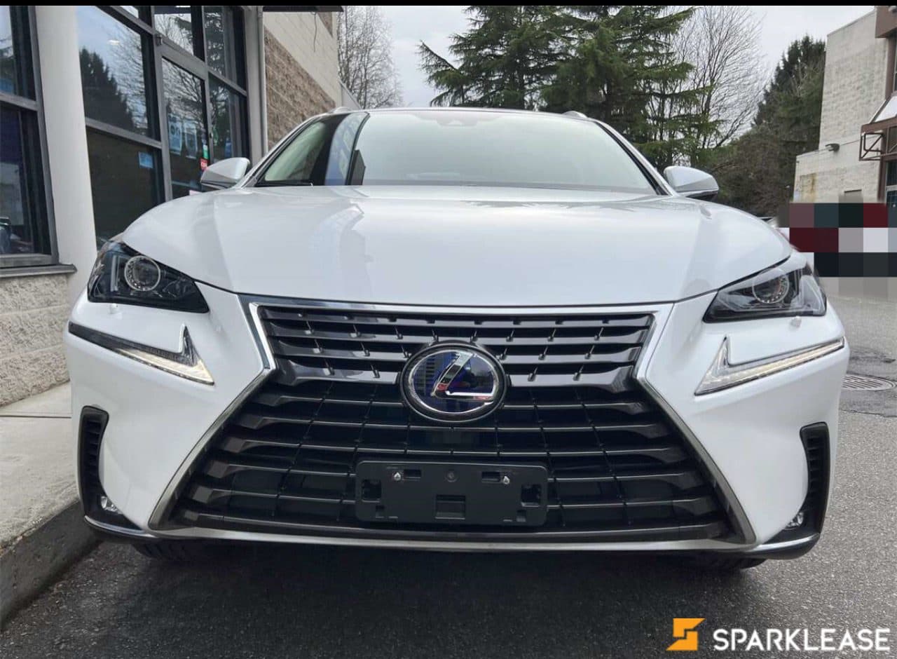 2020 Lexus NX300h 油电混合