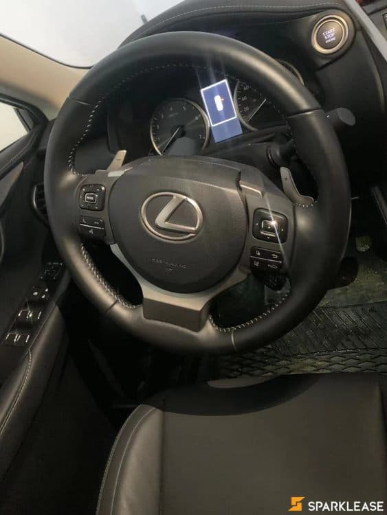 2020 Lexus NX300