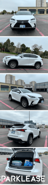 2020 Lexus NX300
