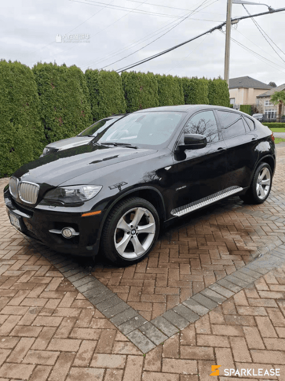 2010 BMW X6 50i