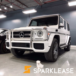 2016 Mercedes-Benz G63