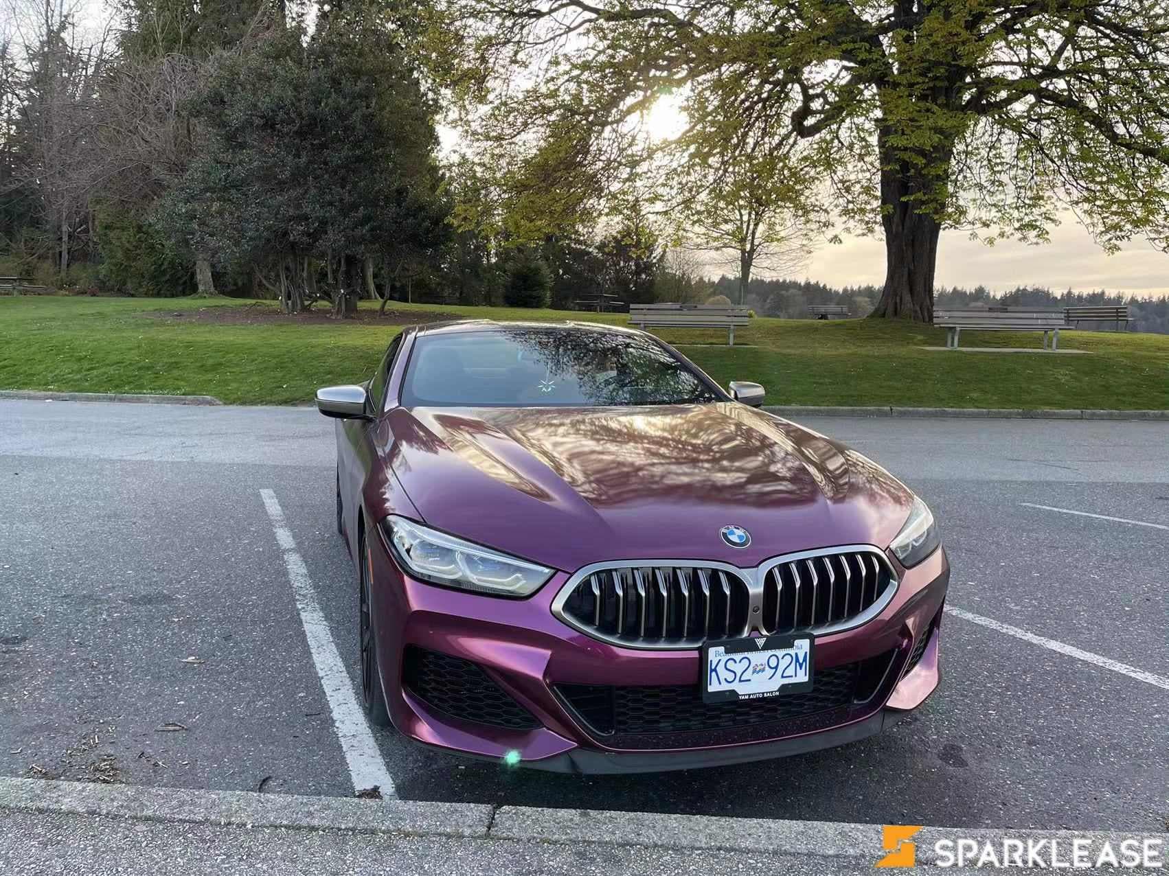 2019 BMW 8 Series M850i xDrive Coupe