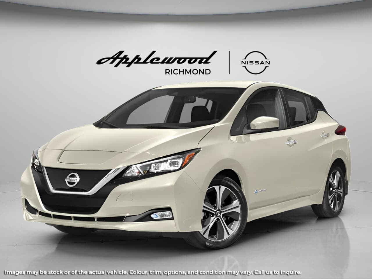 2018 Nissan LEAF SV