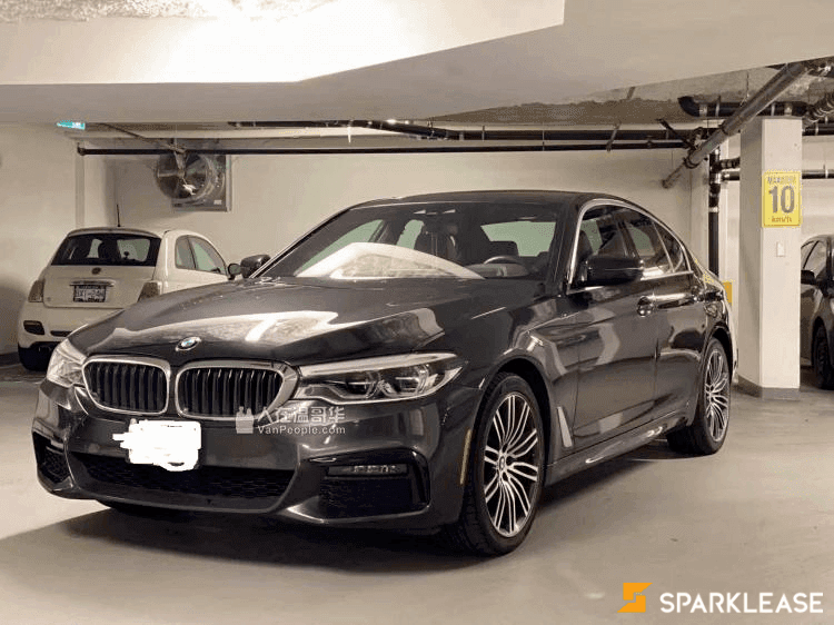 2019 BMW 530i
