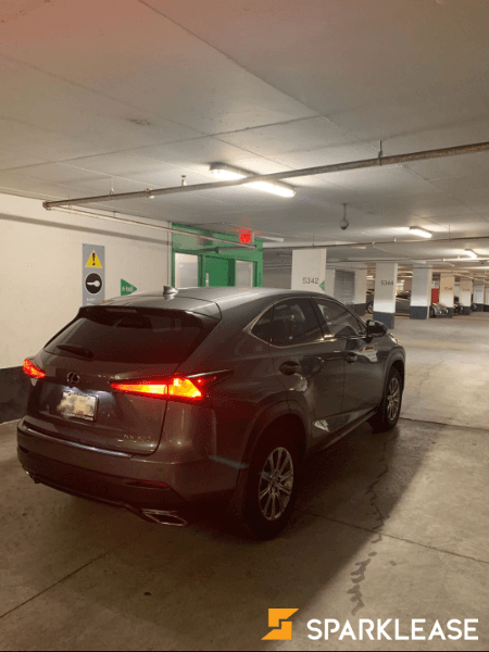 2020 Lexus NX300