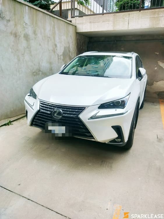 2019 Lexus NX AWD Premium