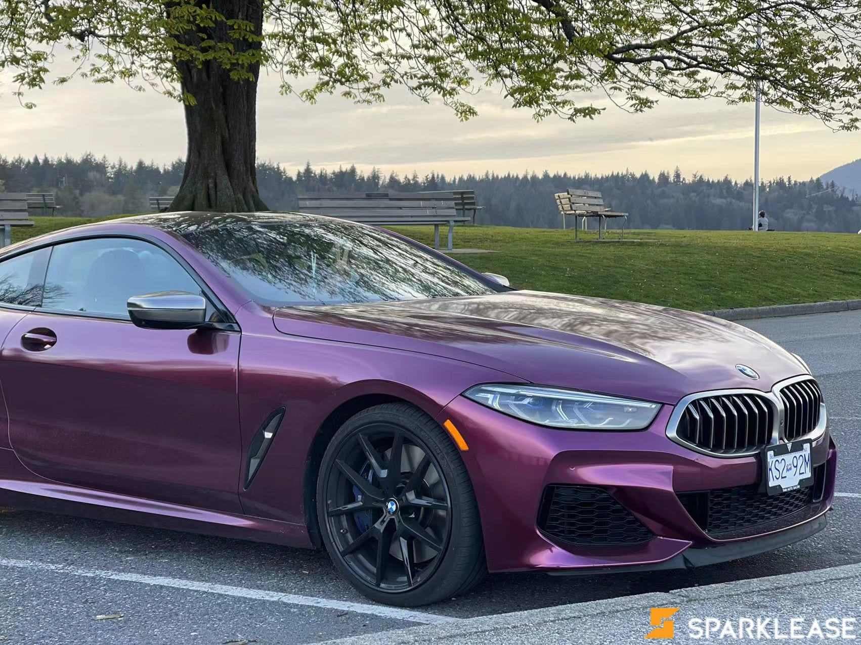 2019 BMW 8 Series M850i xDrive Coupe