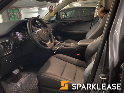 2020 Lexus NX