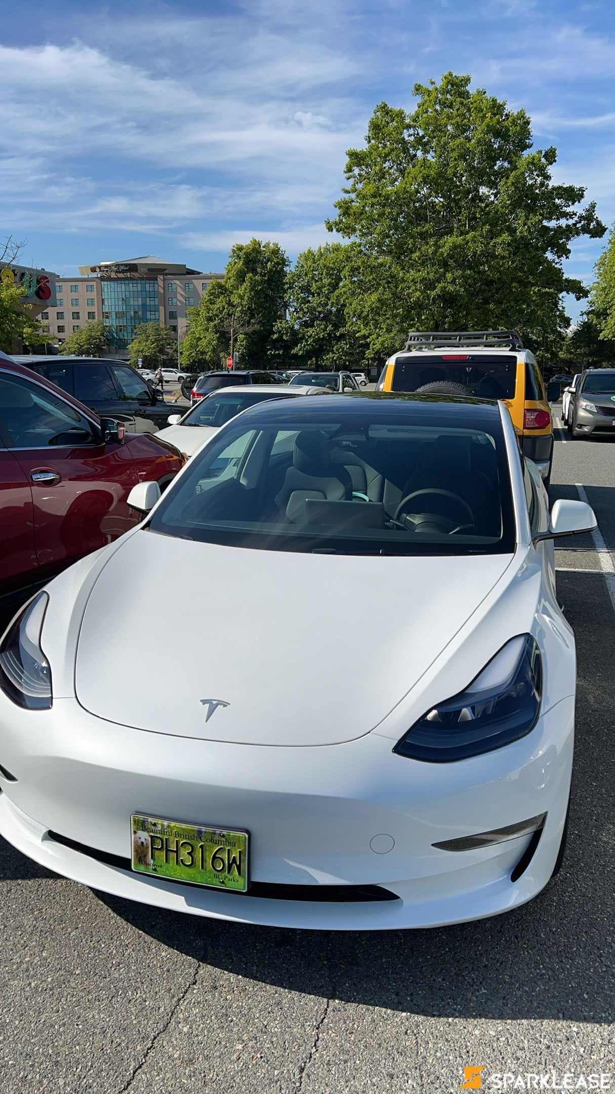 2023 Tesla Model 3 RWD