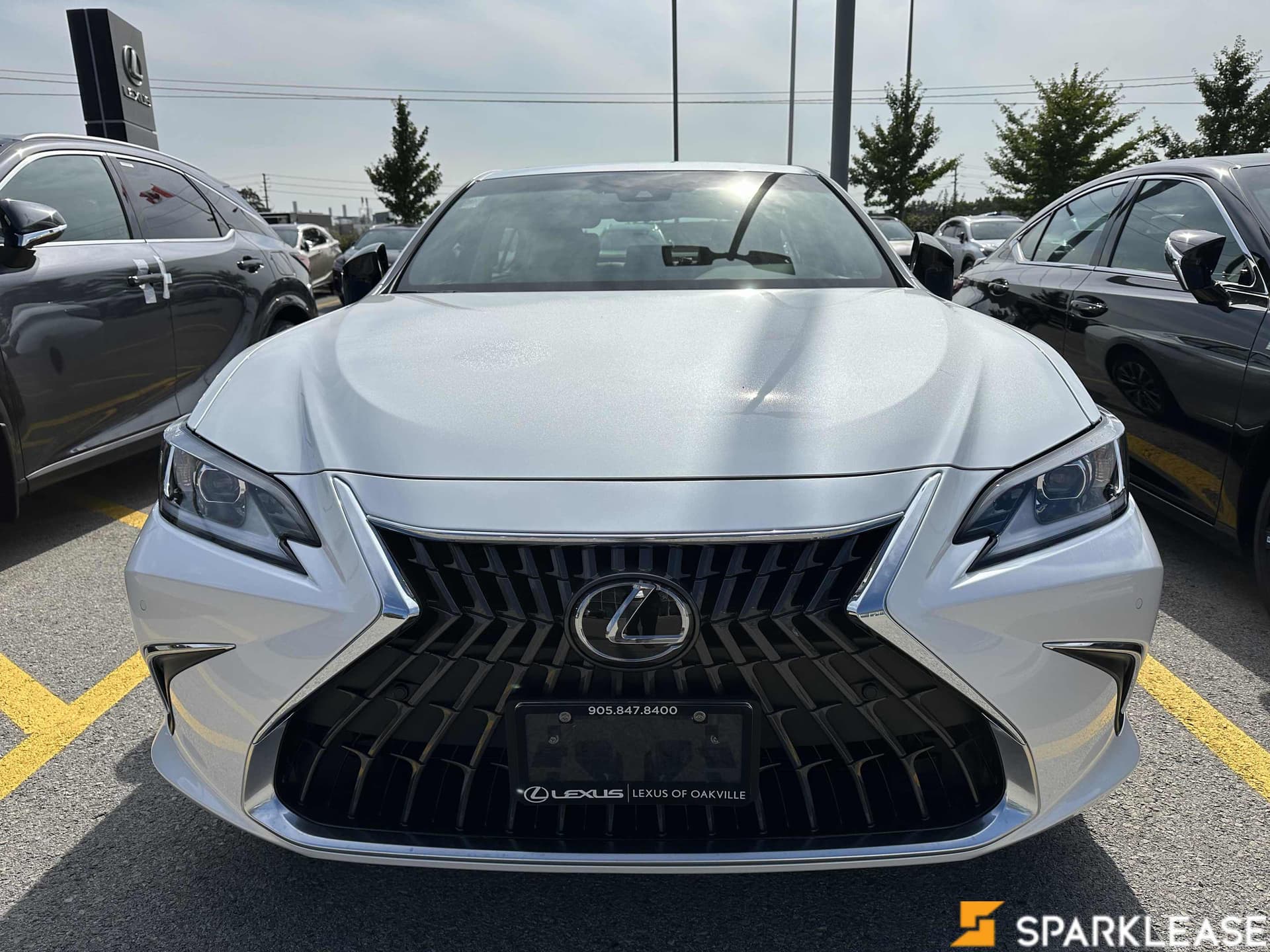 2024 Lexus  ES 300h Premium 现车