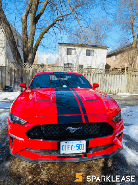 2019 Mustang GT premium