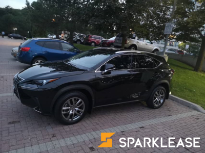 2020 Lexus NX premium