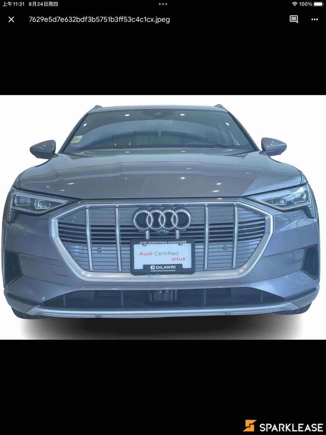 2019 Audi e-tron Technik quattro