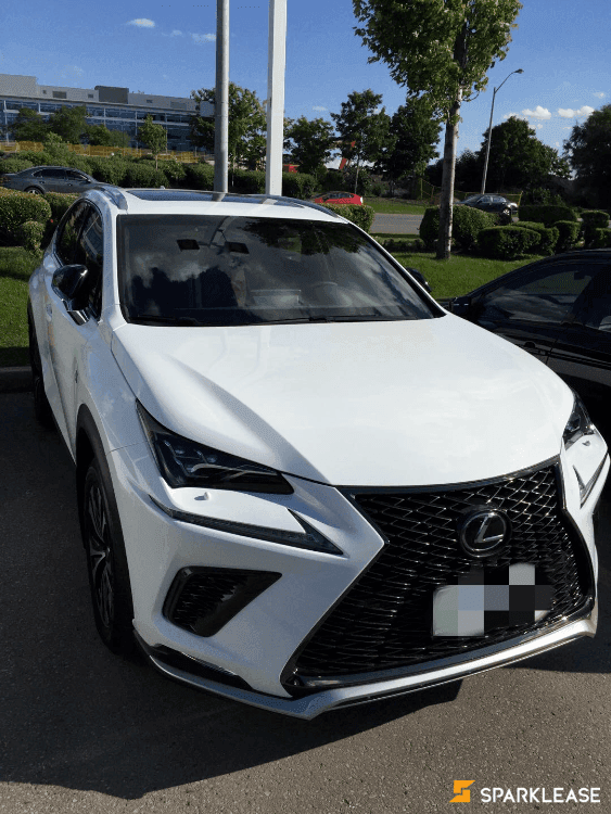 2019 Lexus NX 300 Sport