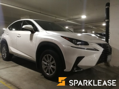 2020 Lexus NX