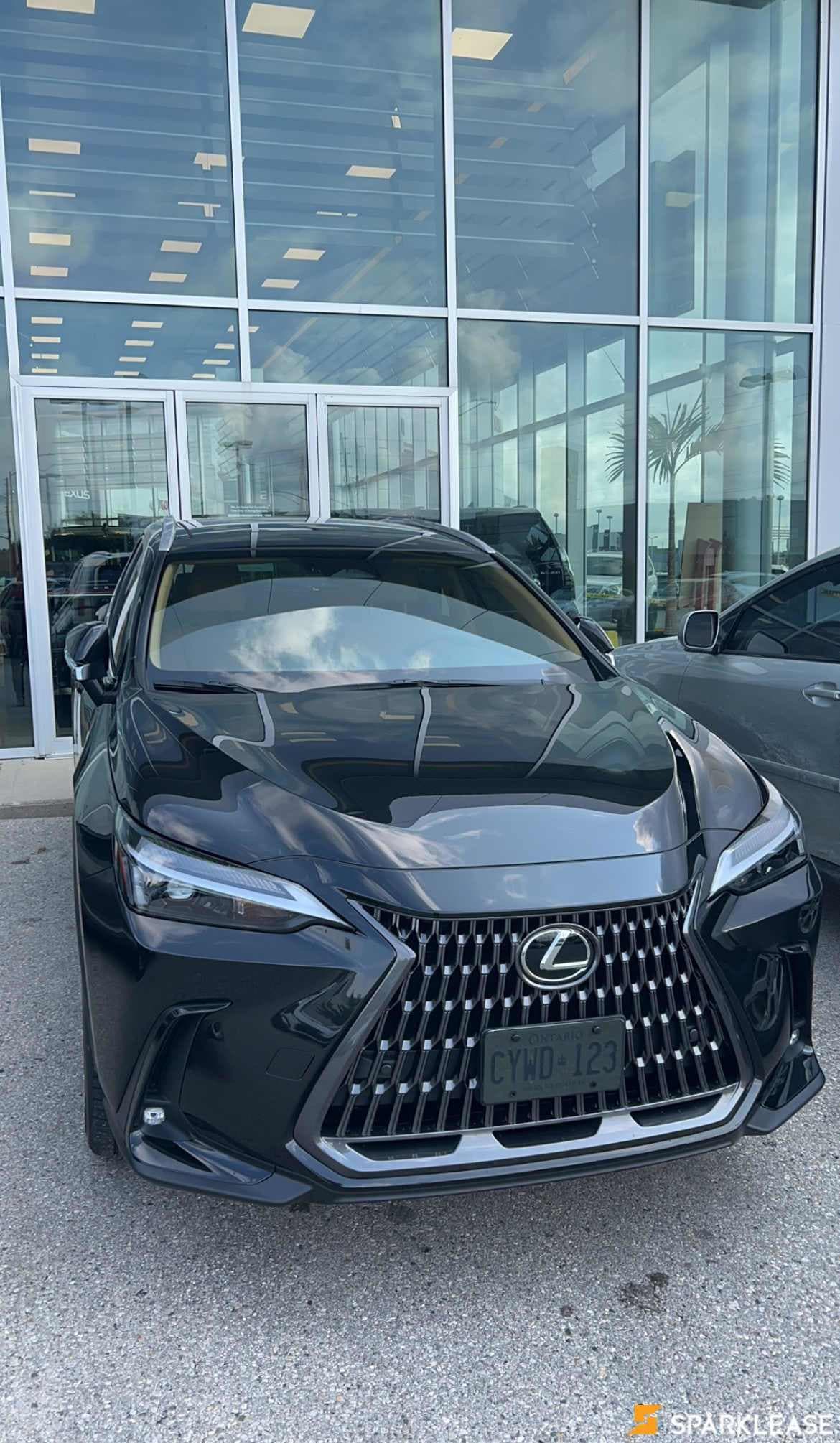 2024 Lexus NX