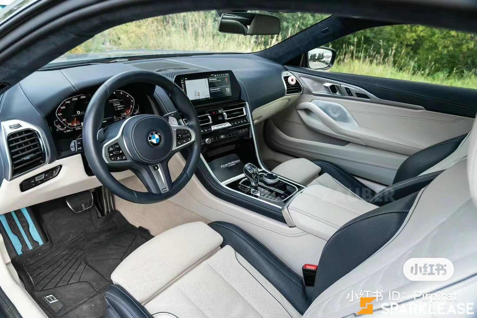 2019 BMW 8 Series M850i xDrive Coupe