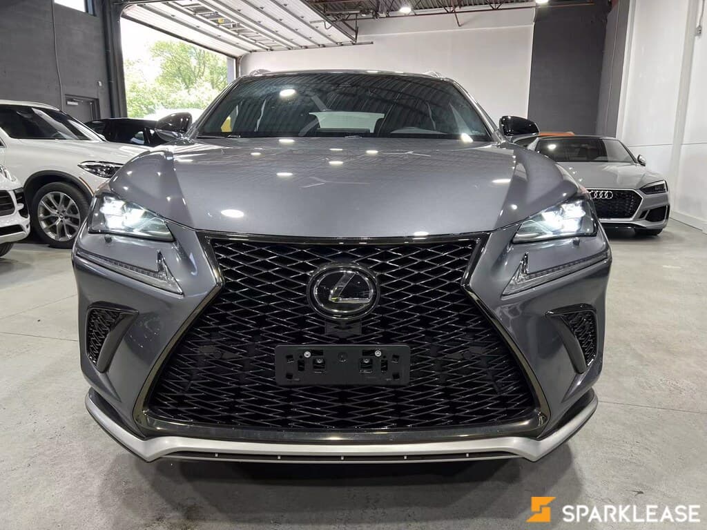 2020 Lexus NX 300 F2
