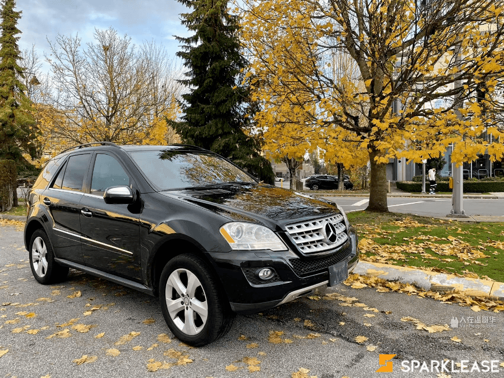 2010 Mercedes-Benz ML 350