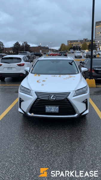 2019 Lexus RX350 高配版