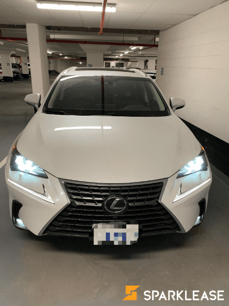 2019 Lexus NX300