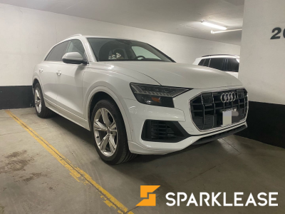2019 Audi Q8