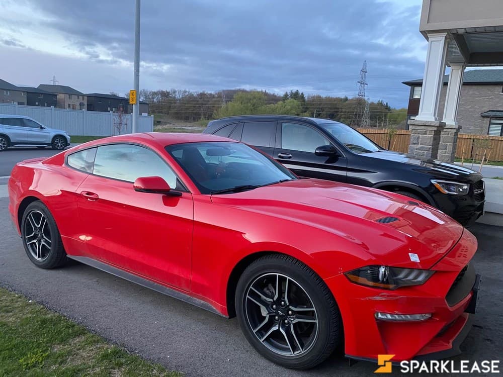 2019 Ford Mustang