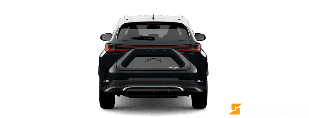 2022 Lexus  NX 350 F-Sport 2 在途